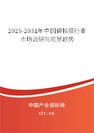 2025-2031年中國(guó)偏振膜行業(yè)市場(chǎng)調(diào)研與前景趨勢(shì)