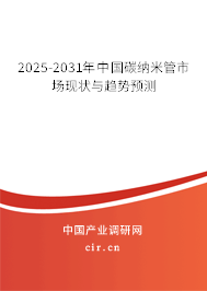 2025-2031年中國碳納米管市場現(xiàn)狀與趨勢預測