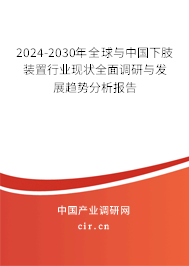 2024-2030年全球與中國下肢裝置行業(yè)現狀全面調研與發(fā)展趨勢分析報告