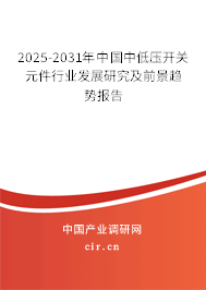 2025-2031年中國中低壓開關元件行業(yè)發(fā)展研究及前景趨勢報告