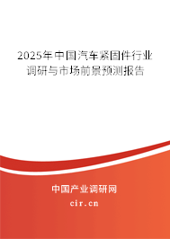 2025年中國(guó)汽車緊固件行業(yè)調(diào)研與市場(chǎng)前景預(yù)測(cè)報(bào)告 2025年中國(guó)汽車緊固件行業(yè)調(diào)研與市場(chǎng)前景預(yù)測(cè)報(bào)告
