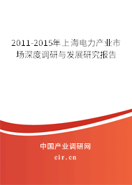 2011-2015年上海電力產(chǎn)業(yè)市場深度調(diào)研與發(fā)展研究報(bào)告