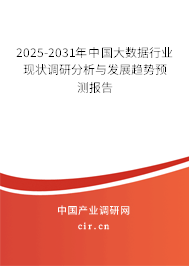 2025-2031年中國(guó)大數(shù)據(jù)行業(yè)現(xiàn)狀調(diào)研分析與發(fā)展趨勢(shì)預(yù)測(cè)報(bào)告 2025-2031年中國(guó)大數(shù)據(jù)行業(yè)現(xiàn)狀調(diào)研分析與發(fā)展趨勢(shì)預(yù)測(cè)報(bào)告
