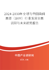 2024-2030年全球與中國(guó)袋閥面罩（BVM）行業(yè)發(fā)展全面調(diào)研與未來(lái)趨勢(shì)報(bào)告
