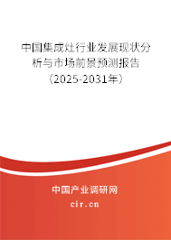 中國集成灶行業(yè)發(fā)展現(xiàn)狀分析與市場前景預(yù)測報告（2025-2031年）