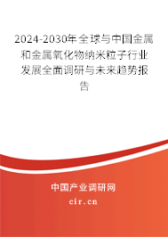 2024-2030年全球與中國金屬和金屬氧化物納米粒子行業(yè)發(fā)展全面調(diào)研與未來趨勢報告