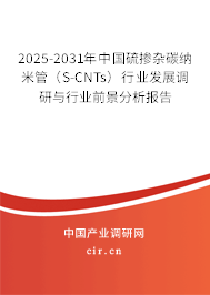 2025-2031年中國(guó)硫摻雜碳納米管（S-CNTs）行業(yè)發(fā)展調(diào)研與行業(yè)前景分析報(bào)告