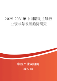 2024-2030年中國(guó)磨削主軸行業(yè)現(xiàn)狀與發(fā)展趨勢(shì)研究