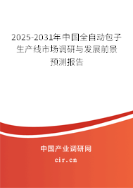 2025-2031年中國全自動包子生產(chǎn)線市場調(diào)研與發(fā)展前景預(yù)測報告