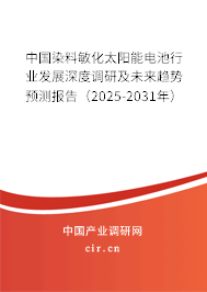 中國染料敏化太陽能電池行業(yè)發(fā)展深度調(diào)研及未來趨勢預(yù)測報告（2025-2031年）