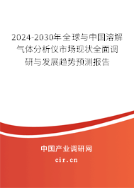 2024-2030年全球與中國溶解氣體分析儀市場現(xiàn)狀全面調(diào)研與發(fā)展趨勢預測報告
