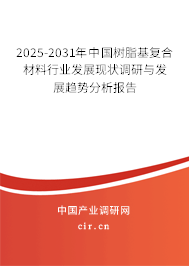 2025-2031年中國樹脂基復合材料行業(yè)發(fā)展現(xiàn)狀調(diào)研與發(fā)展趨勢分析報告