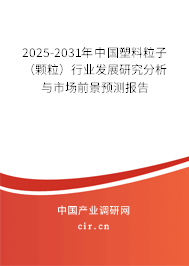 2025-2031年中國塑料粒子(顆粒)行業(yè)發(fā)展研究分析與市場前景預(yù)測報(bào)告 2025-2031年中國塑料粒子(顆粒)行業(yè)發(fā)展研究分析與市場前景預(yù)測報(bào)告