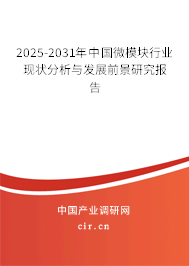 2025-2031年中國微模塊行業(yè)現(xiàn)狀分析與發(fā)展前景研究報告