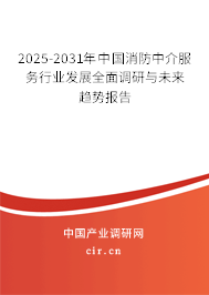 2025-2031年中國消防中介服務(wù)行業(yè)發(fā)展全面調(diào)研與未來趨勢報(bào)告