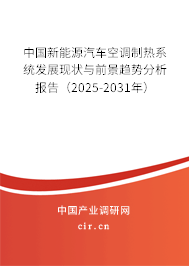 中國新能源汽車空調(diào)制熱系統(tǒng)發(fā)展現(xiàn)狀與前景趨勢分析報(bào)告（2025-2031年）