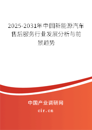 2025-2031年中國(guó)新能源汽車售后服務(wù)行業(yè)發(fā)展分析與前景趨勢(shì)