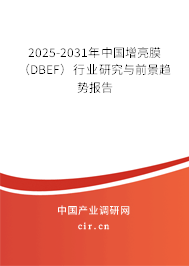 2025-2031年中國(guó)增亮膜（DBEF）行業(yè)研究與前景趨勢(shì)報(bào)告