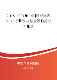 2024-2030年中國(guó)智能電表MCU行業(yè)現(xiàn)狀與前景趨勢(shì)分析報(bào)告