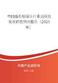中國番石榴罐頭行業(yè)調(diào)研及發(fā)展趨勢(shì)預(yù)測(cè)報(bào)告（2025年）