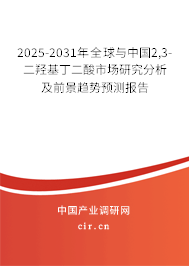 2025-2031年全球與中國2,3-二羥基丁二酸市場研究分析及前景趨勢預(yù)測報告