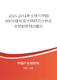 2025-2031年全球與中國(guó)BOPA鋰電膜市場(chǎng)研究分析及前景趨勢(shì)預(yù)測(cè)報(bào)告