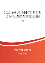 2025-2031年中國燈具及照明裝置行業(yè)研究與趨勢預測報告