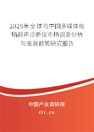 2025年全球與中國多媒體電腦超聲診斷儀市場調(diào)查分析與發(fā)展趨勢研究報(bào)告