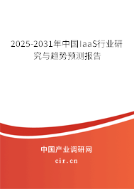 2025-2031年中國IaaS行業(yè)研究與趨勢預(yù)測報告