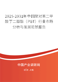 2025-2031年中國(guó)聚對(duì)苯二甲酸丁二醇酯（PBT）行業(yè)市場(chǎng)分析與發(fā)展前景報(bào)告