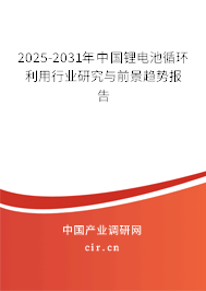 2025-2031年中國鋰電池循環(huán)利用行業(yè)研究與前景趨勢報告