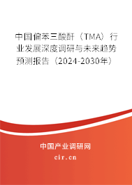 中國偏苯三酸酐（TMA）行業(yè)發(fā)展深度調(diào)研與未來趨勢預(yù)測報告（2024-2030年）