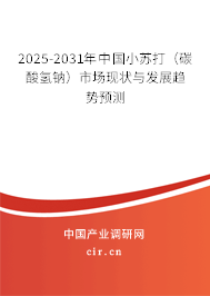 2025-2031年中國小蘇打（碳酸氫鈉）市場現(xiàn)狀與發(fā)展趨勢預測