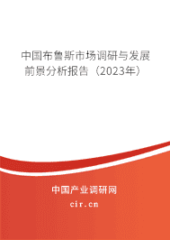 中國(guó)布魯斯市場(chǎng)調(diào)研與發(fā)展前景分析報(bào)告(2023年) 中國(guó)布魯斯市場(chǎng)調(diào)研與發(fā)展前景分析報(bào)告(2023年)