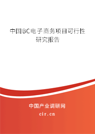 中國(guó)BC電子商務(wù)項(xiàng)目可行性研究報(bào)告