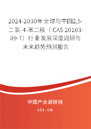 2024-2030年全球與中國2,5-二氯-4-苯二胺（ CAS 20103-09-7）行業(yè)發(fā)展深度調(diào)研與未來趨勢預測報告