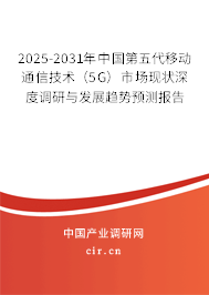 2025-2031年中國第五代移動通信技術(shù)（5G）市場現(xiàn)狀深度調(diào)研與發(fā)展趨勢預(yù)測報告