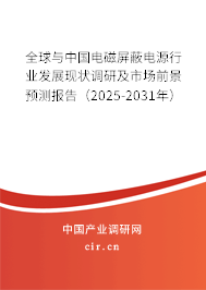 全球與中國電磁屏蔽電源行業(yè)發(fā)展現(xiàn)狀調(diào)研及市場前景預(yù)測報告（2025-2031年）