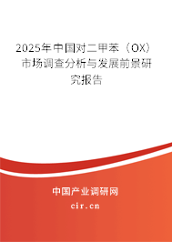 2025年中國對二甲苯（OX）市場調(diào)查分析與發(fā)展前景研究報告