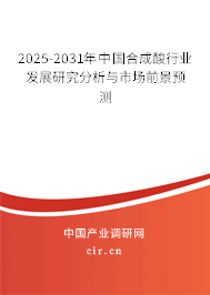 2025-2031年中國合成酸行業(yè)發(fā)展研究分析與市場前景預測
