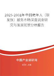2025-2031年中國老年人（銀發(fā)族）服務(wù)市場深度調(diào)查研究與發(fā)展前景分析報(bào)告