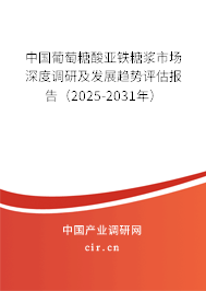 中國葡萄糖酸亞鐵糖漿市場深度調(diào)研及發(fā)展趨勢評估報告（2025-2031年）