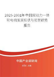 2025-2031年中國雙動力一體輪電機(jī)發(fā)展現(xiàn)狀與前景趨勢報告
