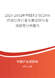 2025-2031年中國TD-SCDMA終端芯片行業(yè)全面調研與發(fā)展趨勢分析報告
