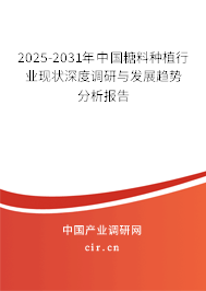 2025-2031年中國(guó)糖料種植行業(yè)現(xiàn)狀深度調(diào)研與發(fā)展趨勢(shì)分析報(bào)告
