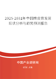 2025-2031年中國橡皮膏發(fā)展現(xiàn)狀分析與趨勢預(yù)測報(bào)告
