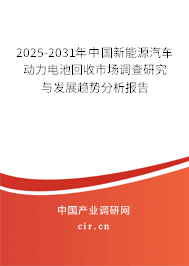 2025-2031年中國新能源汽車動力電池回收市場調(diào)查研究與發(fā)展趨勢分析報告