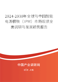 2024-2030年全球與中國智能電源模塊（IPM）市場現(xiàn)狀全面調(diào)研與發(fā)展趨勢報告