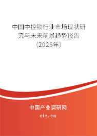 中國(guó)中控鎖行業(yè)市場(chǎng)現(xiàn)狀研究與未來(lái)前景趨勢(shì)報(bào)告（2025年）