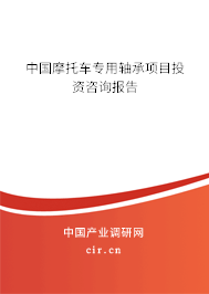 中國摩托車專用軸承項(xiàng)目投資咨詢報(bào)告